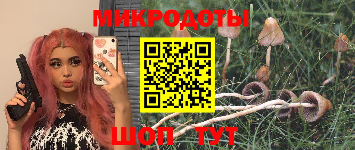 Галлюциногенные грибы ЛСД  Вход с VPN  Кувандык  Галлюциногенные грибы ЛСД 