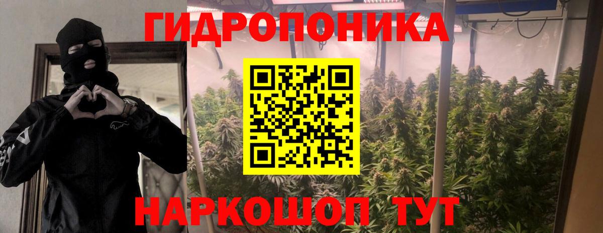 Каннабис марихуана  Марихуана план  Кувандык  Вход с VPN 